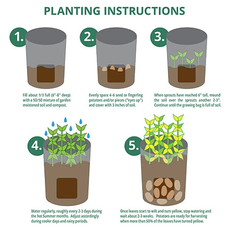 Vegetable Growing Bag 7 Vegetable Growing Bag - Image 5