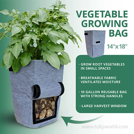 Vegetable Growing Bag 4 Vegetable Growing Bag - Image 2