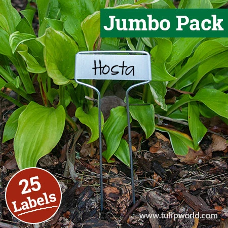 Cap Style Plant Labels Jumbo Pack -Garden Supplies Sales Store 13101 cap style labels jumbo pack 4