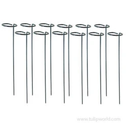 Plant Stakes - 12 Pack -Garden Supplies Sales Store 13107 plant stakes 3