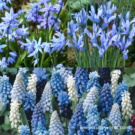 Sailed The Ocean Blue Collection 3 Sailed The Ocean Blue Collection