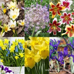 Warm Climate Fall Garden Kit