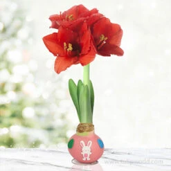 Easter Bunny Waxed Amaryllis