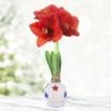 Liberty White Waxed Amaryllis -Garden Supplies Sales Store 42242 liberty waxed amaryllis 3