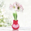 True Love Sweater Amaryllis -Garden Supplies Sales Store 42445 loving heart sweater amaryllis