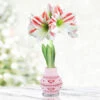 Amaryllis Delight Sweater Amaryllis -Garden Supplies Sales Store 42448 hearts delight amorice