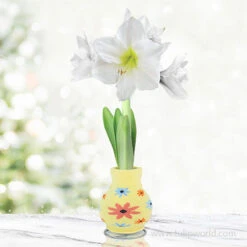 Flora Sweater Amaryllis