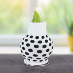 Be Well Sweater Amaryllis Collection -Garden Supplies Sales Store Best Bud BACK 800 800 bulbs 1