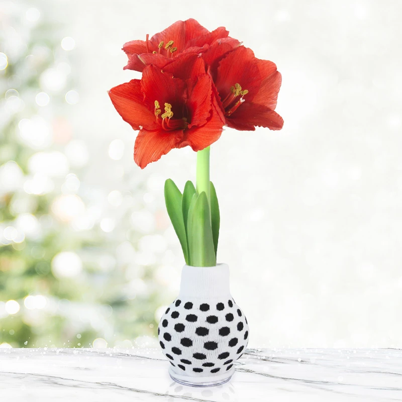 Feeling Groovy Sweater Amaryllis Collection 11 Feeling Groovy Sweater Amaryllis Collection - Image 9