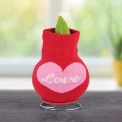 Love Bug Sweater Amaryllis Collection -Garden Supplies Sales Store Love 800 800 bulbs