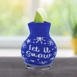 Winter Scene Sweater Amaryllis Collection -Garden Supplies Sales Store Snow 800 800 bulbs