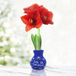 Winter Scene Sweater Amaryllis Collection -Garden Supplies Sales Store Snow 800 800 full grown