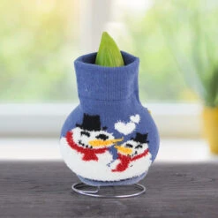 Snowing And Glowing Sweater Amaryllis Collection -Garden Supplies Sales Store Snowman 800 800 bulbs 1