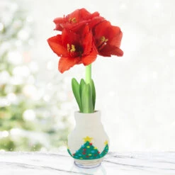 Winter Scene Sweater Amaryllis Collection -Garden Supplies Sales Store christmas tree 800 800 full grown