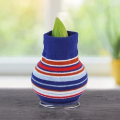 Feeling Groovy Sweater Amaryllis Collection 15 Feeling Groovy Sweater Amaryllis Collection -Garden Supplies Sales Store stripes 800 800 bulbs 2